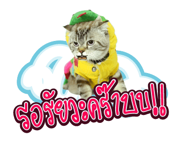 สัตว์เลี้ยงแสนน่ารักดุ๊กดิ๊ก พูดได้ VRZO รูปที่ 11
