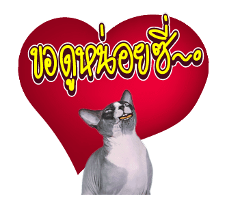สัตว์เลี้ยงแสนน่ารักดุ๊กดิ๊ก พูดได้ VRZO รูปที่ 17