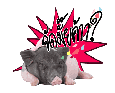 สัตว์เลี้ยงแสนน่ารักดุ๊กดิ๊ก พูดได้ VRZO รูปที่ 20