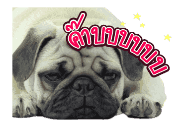 สัตว์เลี้ยงแสนน่ารักดุ๊กดิ๊ก พูดได้ VRZO รูปที่ 22