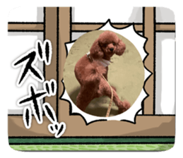 724353358