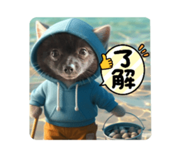 724353412