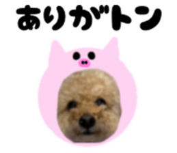 724359907