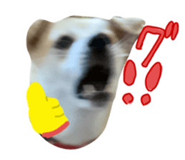 724377362
