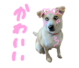 724377363