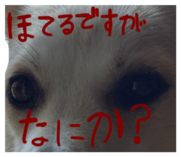 724377364