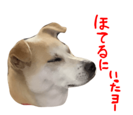 724377367
