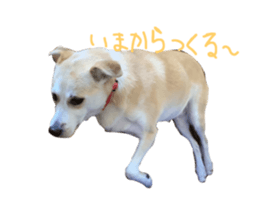 724377371