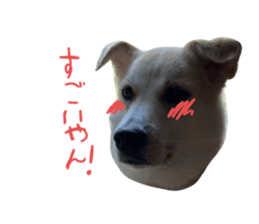 724377374