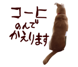 724377384