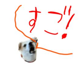724377388