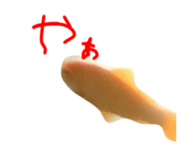 724377396