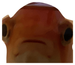 724377400