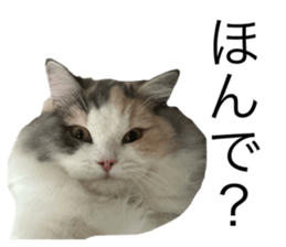 724393525