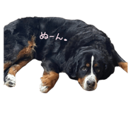724393922