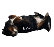 724393926