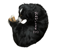 724393932