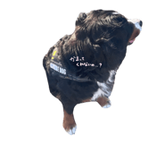 724393940