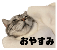 724412266