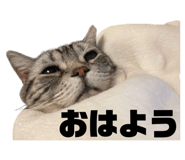 724412270