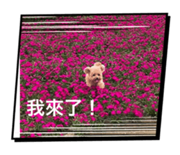 724474262