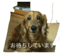 724487179