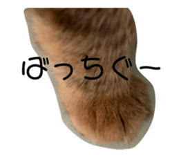 724498169