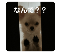724503883
