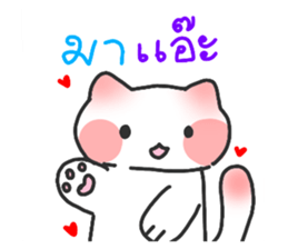 724505617