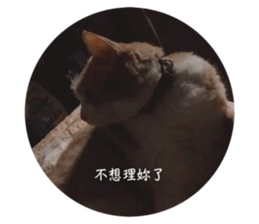 724507120