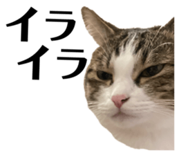 724509710