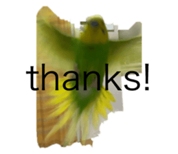 724512035