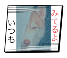 724512441