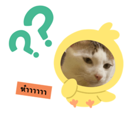724512757