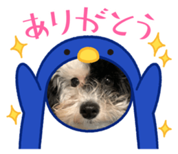 724513496
