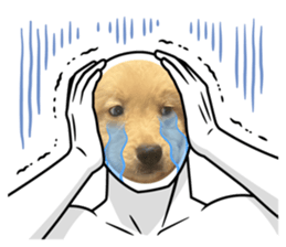 724530614