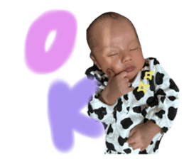 724540494