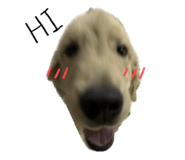 724544703