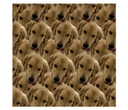 724544710