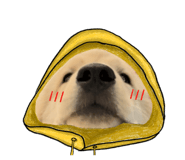 724544717