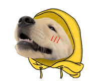 724544718