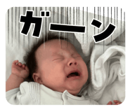 724553618