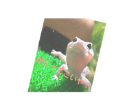 724597555