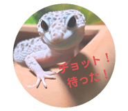 724597559