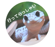 724597560