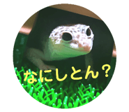 724597563