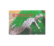 724597572