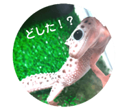 724597573