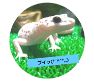 724597574