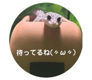 724597584